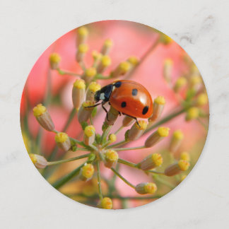 Lady Bug Party-uitnodiging Kaart