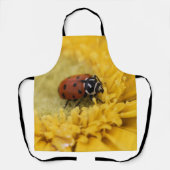 Lady bug schort (Voorkant)