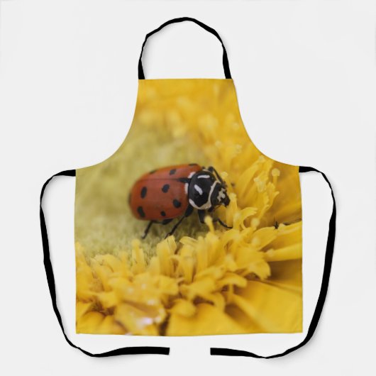 Lady bug schort (Voorkant)