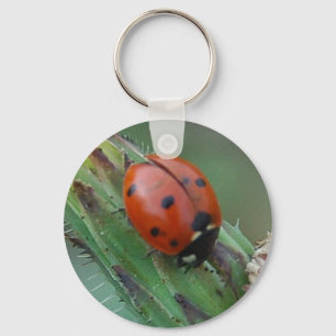 Lady Bug Sleutelhanger