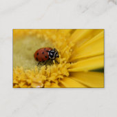 Lady bug visitekaartje (Achterkant)