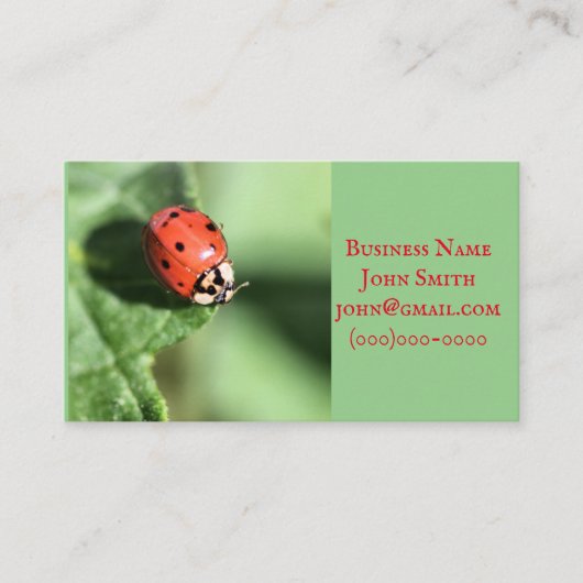 Lady bug visitekaartje (Voorkant)