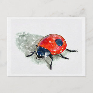 Lady Bug Waterverf Briefkaart