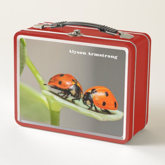 Lady Bugs (Voorkant)