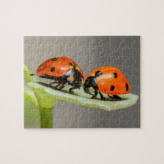 Lady Bugs Jigzaag Puzzle Legpuzzel (Horizontaal)