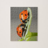 Lady Bugs Jigzaag Puzzle Legpuzzel (Verticaal)