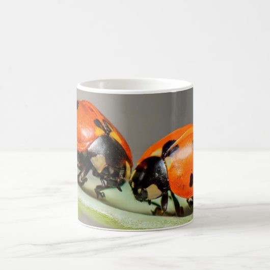 Lady Bugs White Coffee Mug (Centre)
