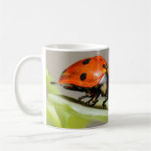 Lady Bugs White Coffee Mug (Gauche)