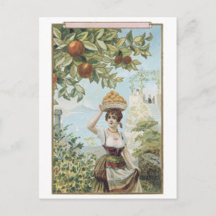 Lady Carry Fruit Briefkaart
