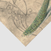 Lady en Peacock Tissuepapier (Detail)