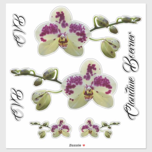Lady Executive Orchid Bagage Sticker Set (Vel)