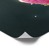  Lady Fairy Queen Roos Flowers Poster (Hoek)