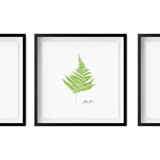 Lady Fern Illustratie | Serie Fern Poster