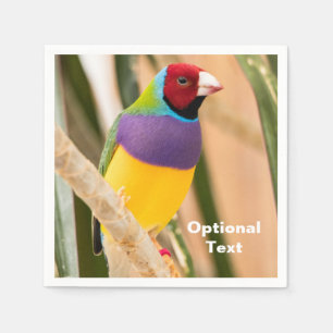 Lady Gouldian Finch Servet
