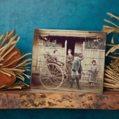 Lady in a rickshaw, c.1890 (gekleurde foto) fotoplaat (Zijkant)