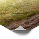 Lady in White Reading Poster (Hoek)