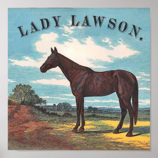Lady Lawson  Racing Horse Poster (Voorkant)