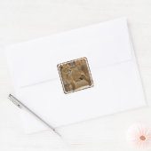Lady Lioness Sticker (Envelop)