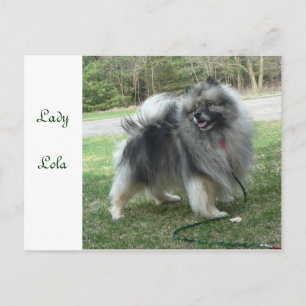 Lady Lola Postcard Briefkaart