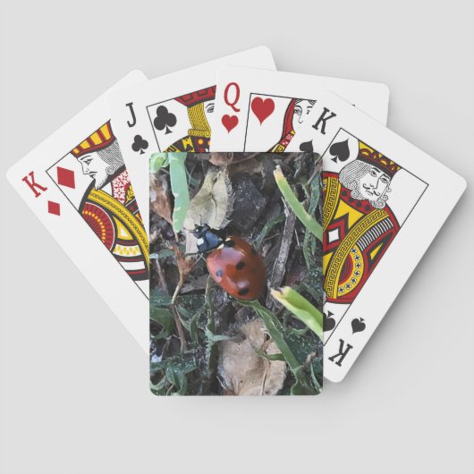 Lady Pokerkaarten (Achterkant)