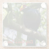 Lady Ross's Turaco Glazen Onderzetter (Achterkant)