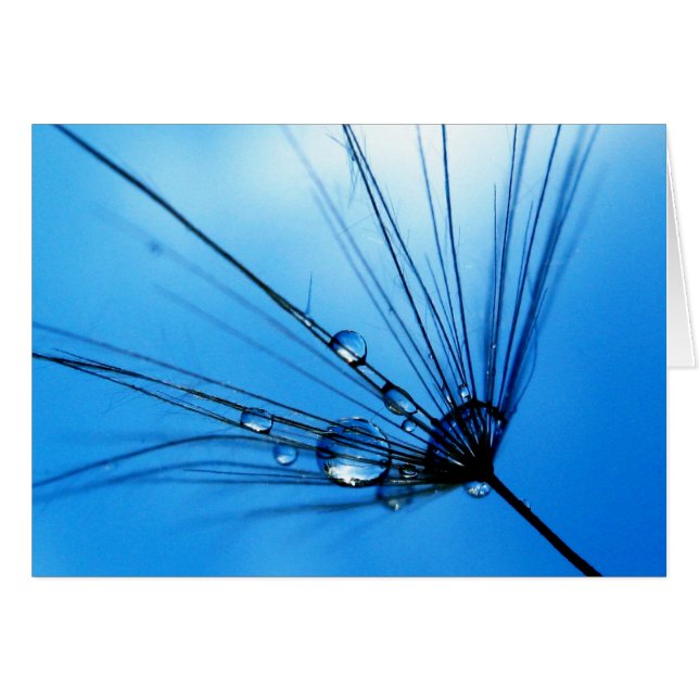 Lady Sings The Blues Card (Voorkant Horizontaal)