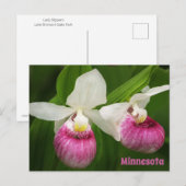 Lady Slipper-Briefkaart Briefkaart (Voorkant / Achterkant)