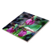 Lady Slipper I, roze groene tuin Tegeltje (Zijkant)