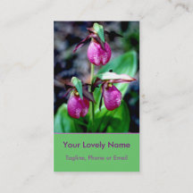 Lady Slipper I, roze magenta groene tuin