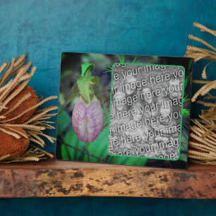 Lady Slipper Orchid Creëer Uw eigen foto Fotoplaat