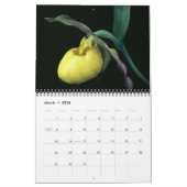 Lady Slipper Orchid Flowers Kalender (Mar 2026)