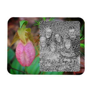 Lady Slipper Orchid Lijst Uw foto toevoegen Magneet