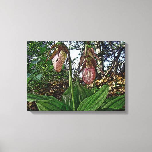Lady Slipper Orchid Wildflower Canvas Afdruk (Voorkant)
