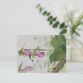 Lady Slippers-Briefkaart Briefkaart (Staand voorkant)