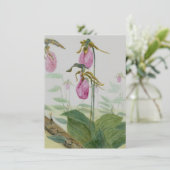 Lady Slippers-flatkaart (Staand voorkant)
