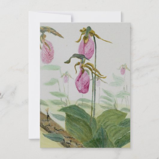 Lady Slippers-flatkaart (Voorkant)