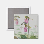 Lady Slippers Magnet Magneet (Voorkant / Achterkant)