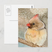 Lady Winter Cardinaal Briefkaart (Voorkant / Achterkant)