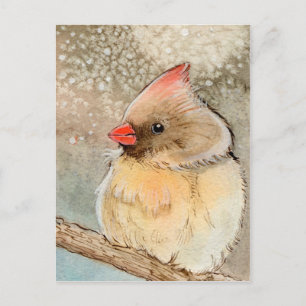 Lady Winter Cardinaal Briefkaart