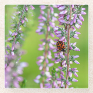 Ladybird auf lila Blume - Glazen Onderzetter