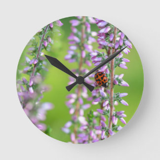 Ladybird auf lila Blume - Ronde Klok
