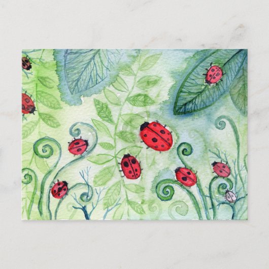 Ladybird Briefkaart (Voorkant)