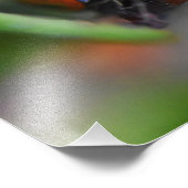 Ladybird Foto Afdruk (Hoek)