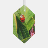Ladybird Glas Ornament (Voorkant Rechts)
