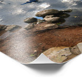 Ladybird Lake Kayak - Skyline - Austin Texas Foto Afdruk (Hoek)