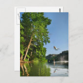 Ladybird Lake Rope Swing - Austin Texas Briefkaart (Voorkant / Achterkant)