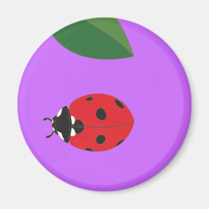 Ladybird Magnet Magneet