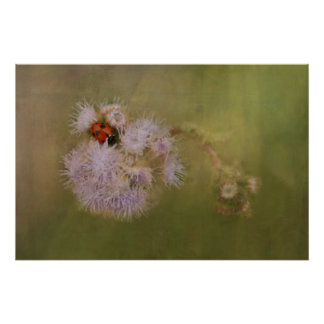 Ladybird op Dandelion sluit fotografische kunst op Perfect Poster