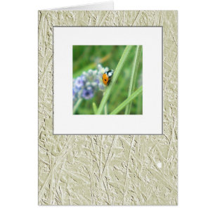 Ladybird op een steel