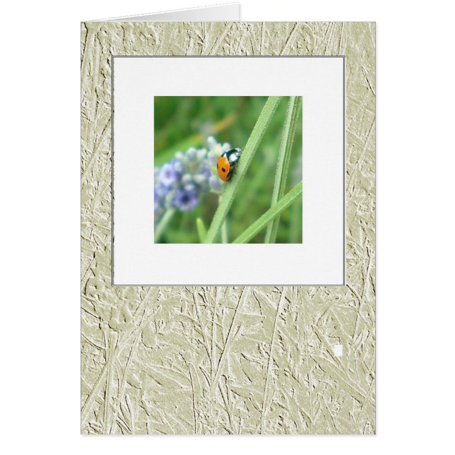 Ladybird op een steel (Voorkant)